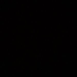 Meet your Posher, Sophia